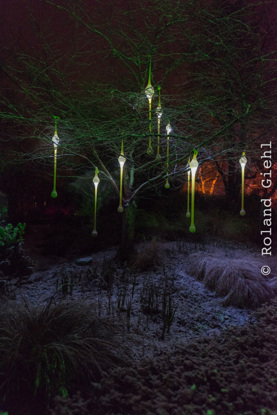 Luisienpark_Mannheim_Winterlichter_20150124_340
