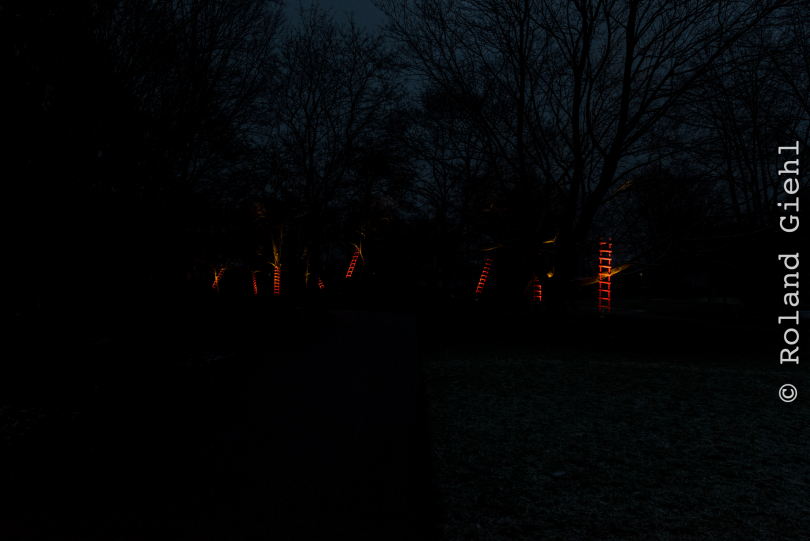 Luisienpark_Mannheim_Winterlichter_20150124_304