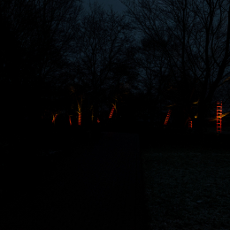 Luisienpark_Mannheim_Winterlichter_20150124_304