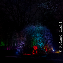 Luisienpark_Mannheim_Winterlichter_20150124_328