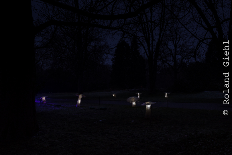 Luisienpark_Mannheim_Winterlichter_20150124_295