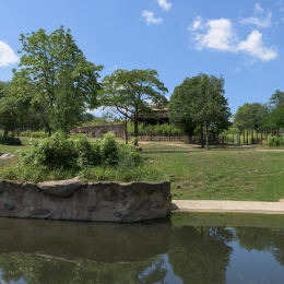 Opel-Zoo_20150726_024