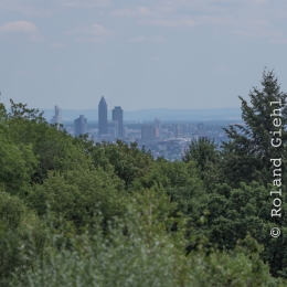 Opel-Zoo_20150726_034