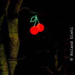 Palmengarten_Winterlichter_014_20250111