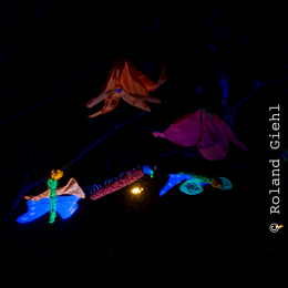 Palmengarten_Winterlichter_025_20250111