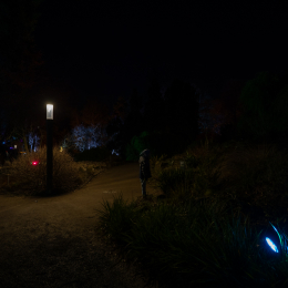 Palmengarten_Winterlichter_028_20250111