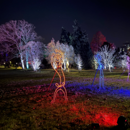 Palmengarten_Winterlichter_038_20250111