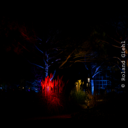 Palmengarten_Winterlichter_004_20250111