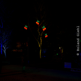 Palmengarten_Winterlichter_011_20250111