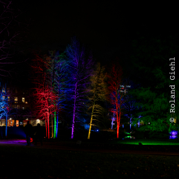 Palmengarten_Winterlichter_009_20250111