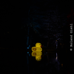 Palmengarten_Winterlichter_020_20250111