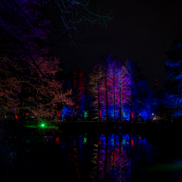 Palmengarten_Winterlichter_017_20250111