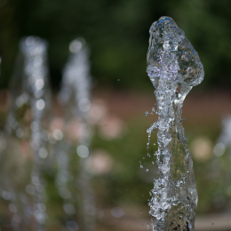 Palmengarten_Frankfurt-20130721-13