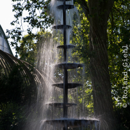 Palmengarten_Frankfurt-20130721-18