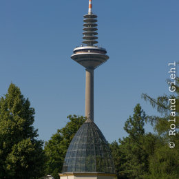 Palmengarten_Frankfurt-20130721-24