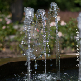 Palmengarten_Frankfurt-20130721-12