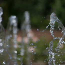 Palmengarten_Frankfurt-20130721-14