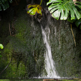 Palmengarten_2013-10-27_20131027-017