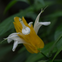Palmengarten_2013-10-27_20131027-021