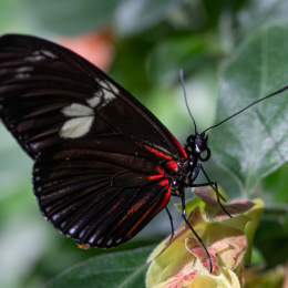 Palmengarten_008_20250928