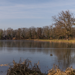 Park_Schönbusch_Aschaffenburg_20150207_018