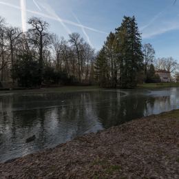 Park_Schönbusch_Aschaffenburg_20150207_032