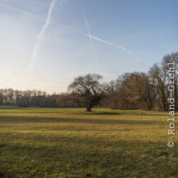 Park_Schönbusch_Aschaffenburg_20150207_120