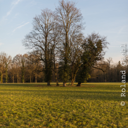 Park_Schönbusch_Aschaffenburg_20150207_130