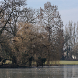 Park_Schönbusch_Aschaffenburg_20150207_008