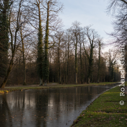 Park_Schönbusch_Aschaffenburg_20150207_116