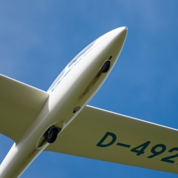 Reinheimer-Teich_20210411_0003