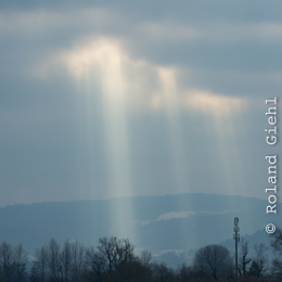 Reinheimer_Teich_20190122_019