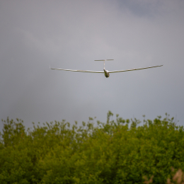 Reinheimer_Teich_008_20250525