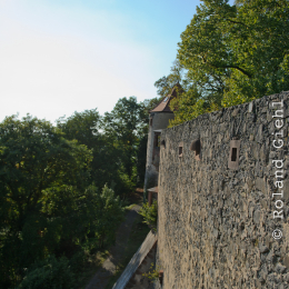Falknerei_Ronneburg_2011-09-24_27