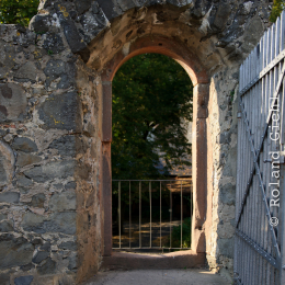 Falknerei_Ronneburg_2011-09-24_28