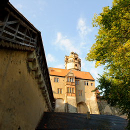 Falknerei_Ronneburg_2011-09-24_29