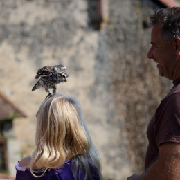 Falknerei_Ronneburg_2011-09-24_18