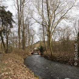 schloss_sayn_20150308_039