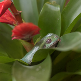 schloss_sayn_20150308_023