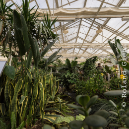 schloss_sayn_20150308_025