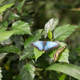 schloss_sayn__20160327_008
