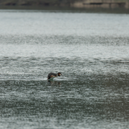 schlosssee_kahl_20160409_002