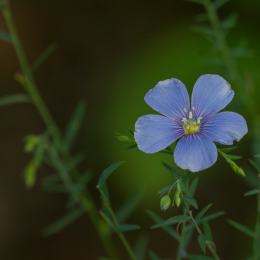 Heusenstamm_20160724_057