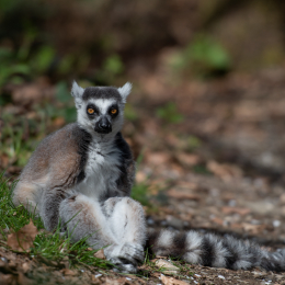 Tierpark-Bell_006_20250420