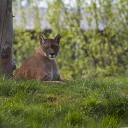 Tierpark-Bell_027_20250420