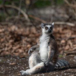 Tierpark-Bell_003_20250420