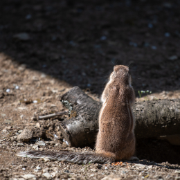 Tierpark-Bell_017_20250420