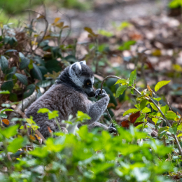 Tierpark-Bell_009_20250420