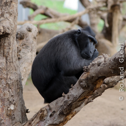 Vivarium_2011-12-26__06