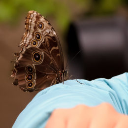 Vivarium_2011-12-26__15